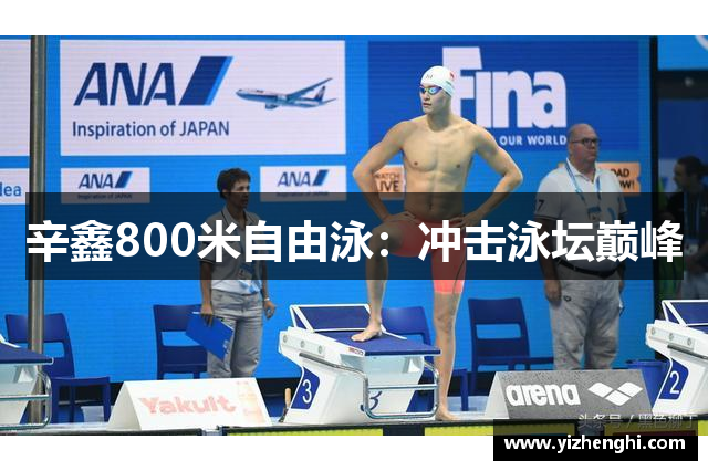 辛鑫800米自由泳：冲击泳坛巅峰